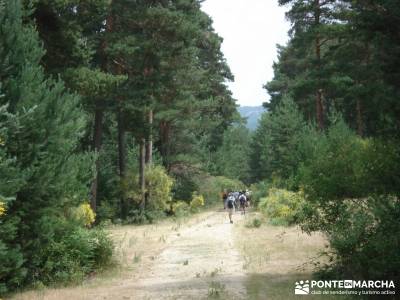 Valle del Lozoya - Camino de la Angostura;actividades para hacer en madrid senderismo la raña